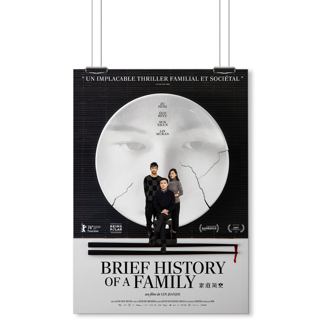 BRIEF HISTORY OF A FAMILY | AFFICHE